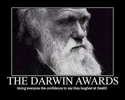 Darwin Awards Batman V Bull
