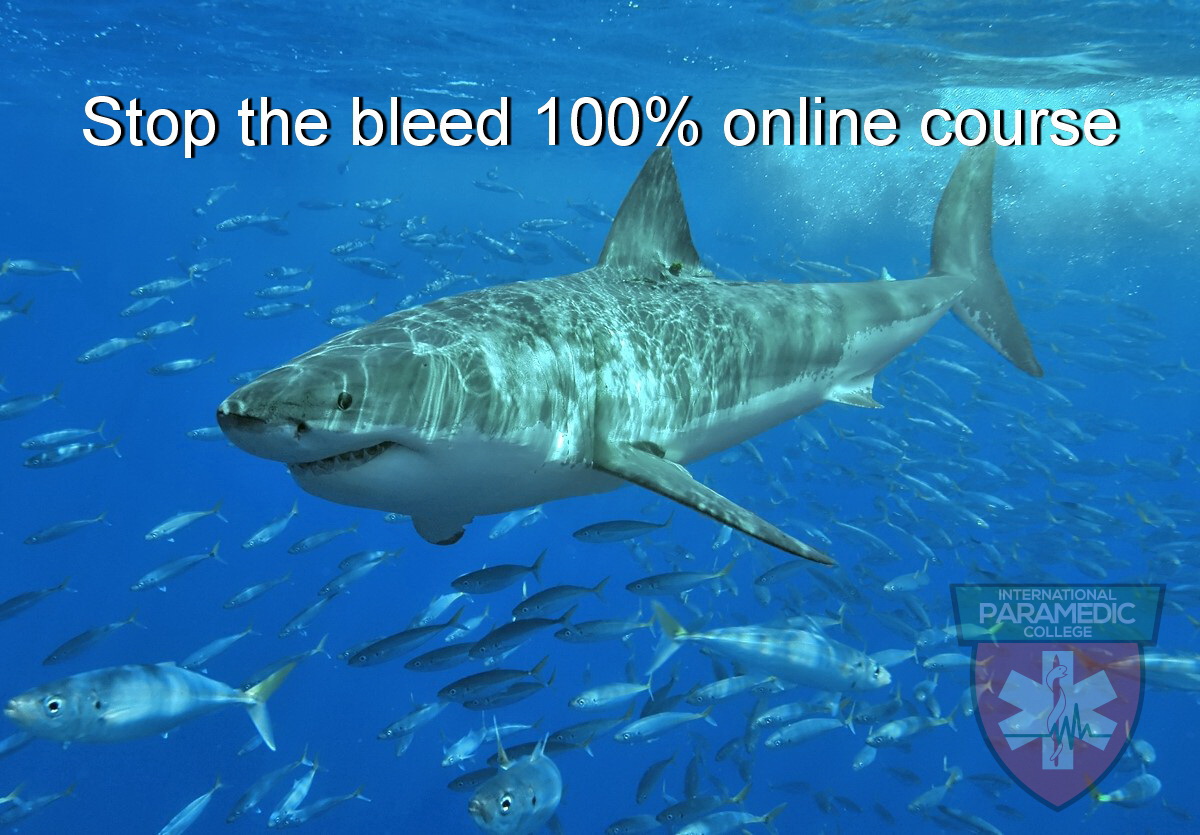 Stop the Bleed Workshop or 100% online