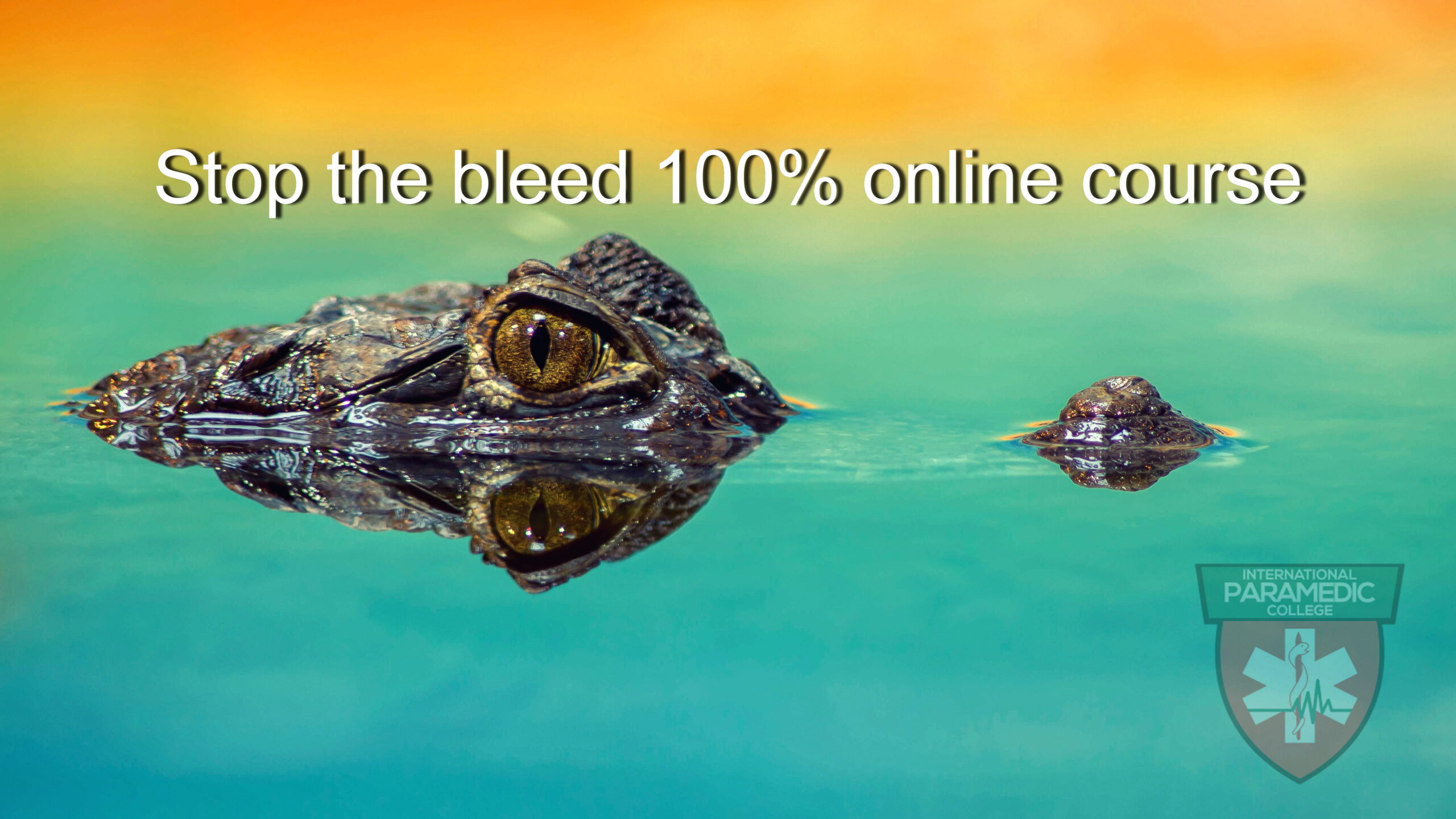 Stop the Bleed Workshop or 100% online