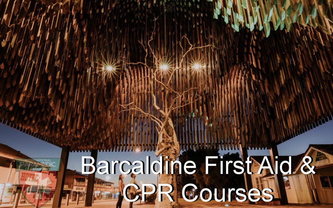 Barcaldine First Aid Courses CPR Courses & Childcare First Aid – Call 0401 286 098
